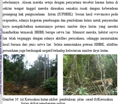  Pemanfaatan hasil hutan bukan kayu  hhbk oleh masyarakat 